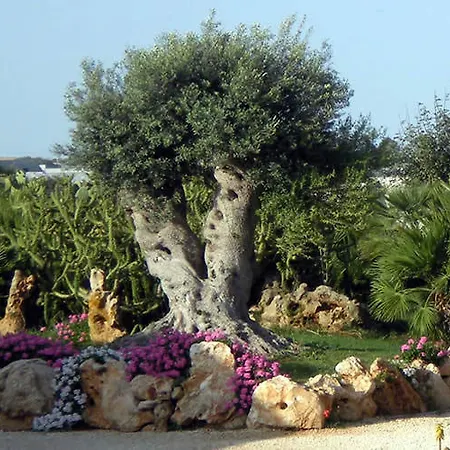 Agriturismo Il Ranch
